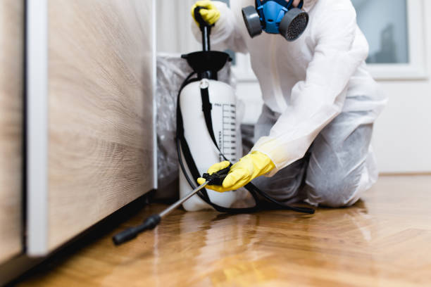 Best Flea Control Services  in Belle Meade, TN