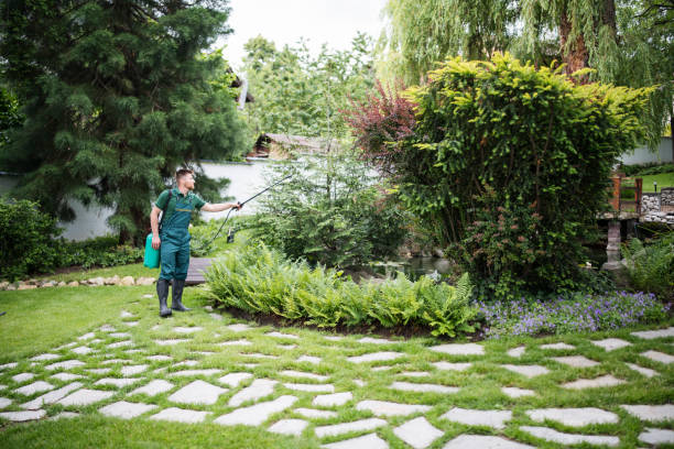 Best Mosquito Control Services  in Belle Meade, TN