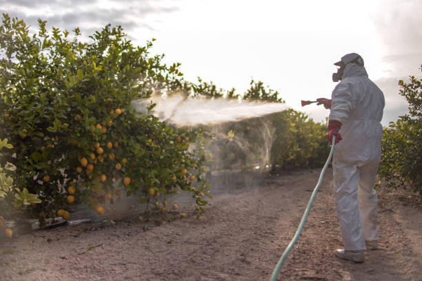 Pest Control Cost in Belle Meade, TN