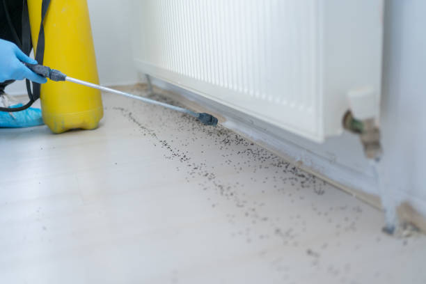 Best Termite Control Services  in Belle Meade, TN